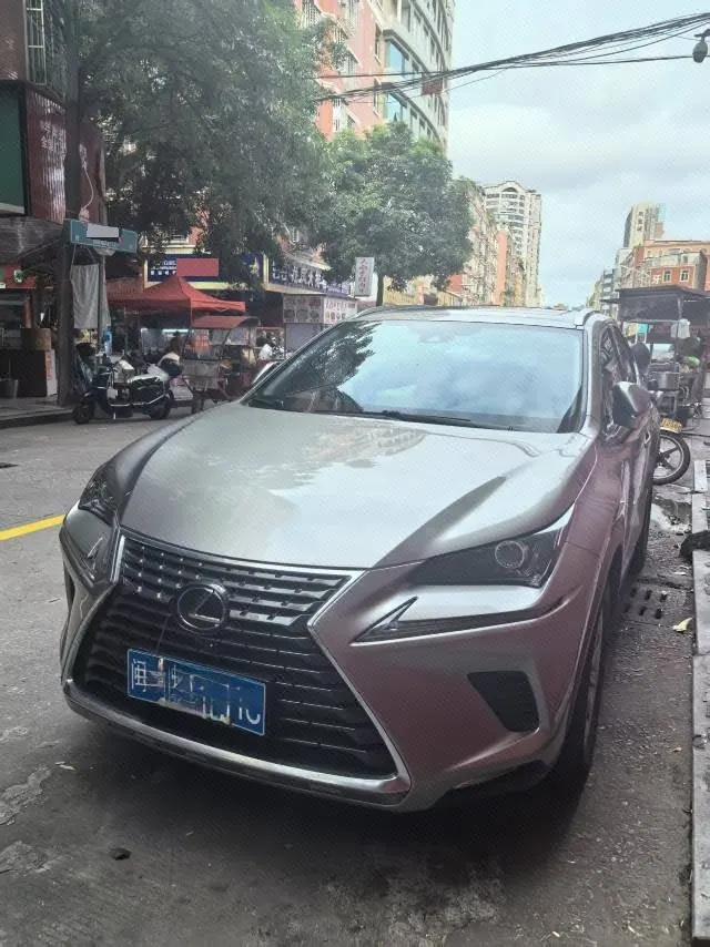 Lexus NX (Imported) 2020 NX200 2.0 Stepless Front Edition Automatic Gear - View 1