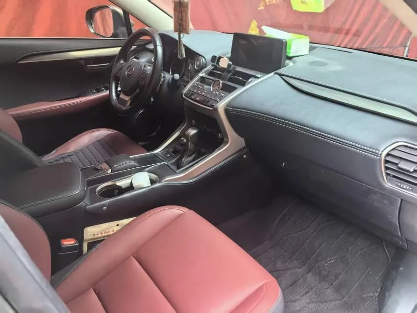 Lexus NX (Imported) 2020 NX200 2.0 Stepless Front Edition Automatic Gear 5