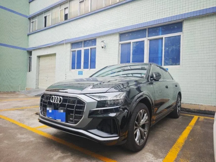 Audi Q8 (Imported) 2023 Q8 48V 3.0TFSI 55TFSI Luxury Dynamic Automatic Gear - View 1