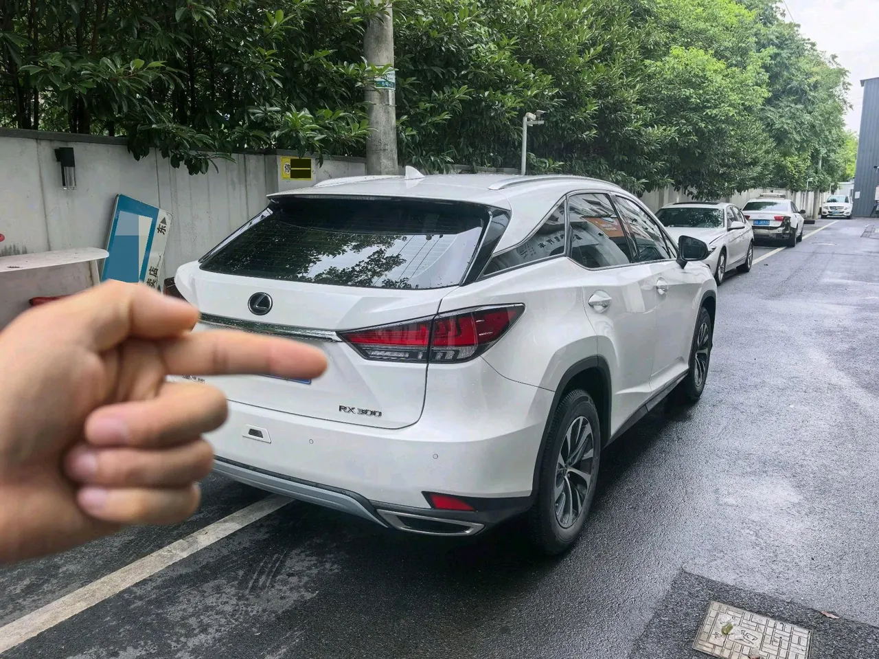 Lexus RX (Imported) 2020 RX300 2.0T Two-Drive Elite Edition (Revised) Automatic Gear 7