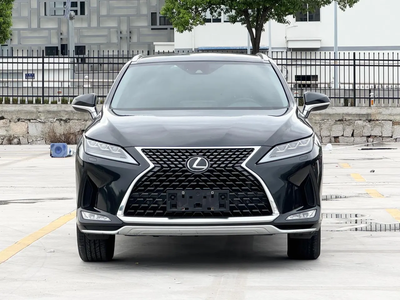 Lexus RX (Imported) 2020 RX300 2.0T Four-wheel Drive Deluxe Edition (Modified) Automatic Gear 4