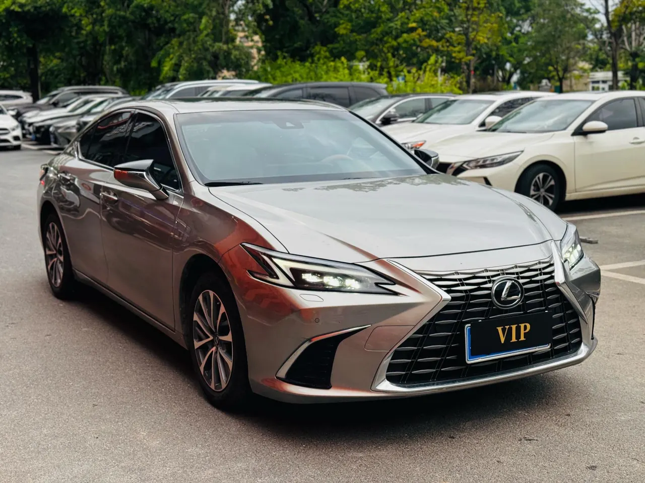 Lexus ES (Imported) 2025 ES200 2.0 Stepless Edition Automatic Gear 3