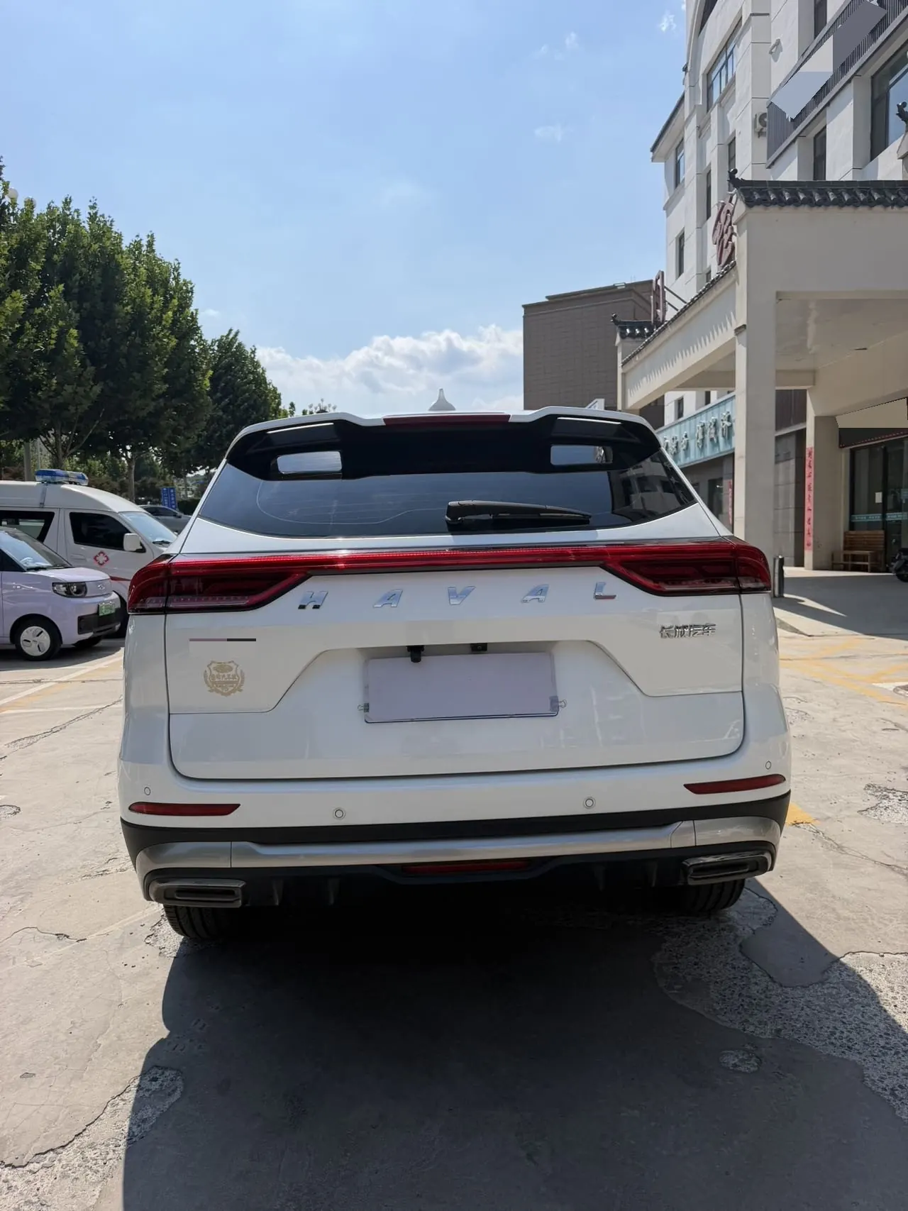 Haval 2023 H6 1.5T National Tide Champion Edition Automatic Gear 8