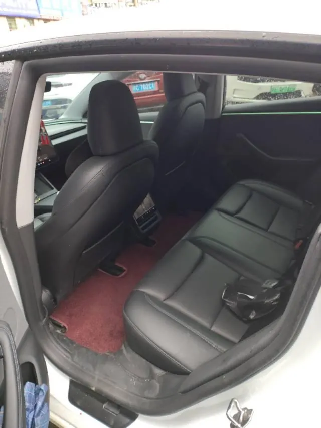 Tesla 2023 Model 3 Rejuvenation Edition Rear Wheel Drive Automatic Transmission 4