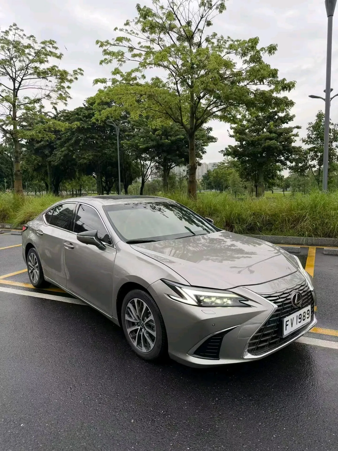 Lexus ES (Imported) 2026 ES200 2.0 Stepless Moon Shadow Double Color Special Edition Automatic Gear 3