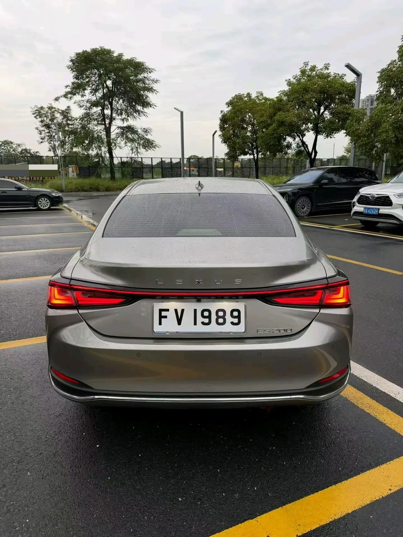 Lexus ES (Imported) 2026 ES200 2.0 Stepless Moon Shadow Double Color Special Edition Automatic Gear 9