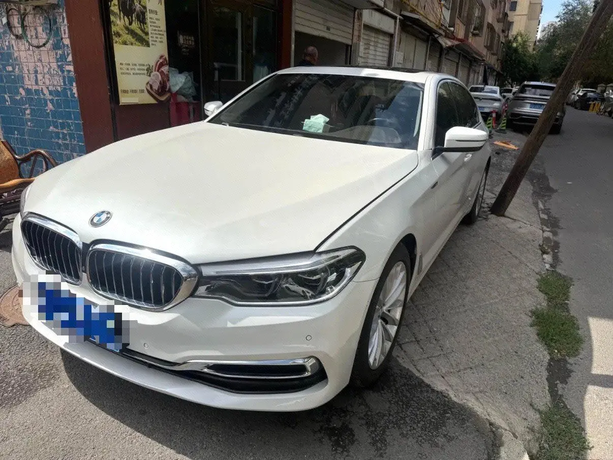 BMW 5 Series 2020 530Li 2.0T Leading Luxury Suit Automatic Gear - View 1