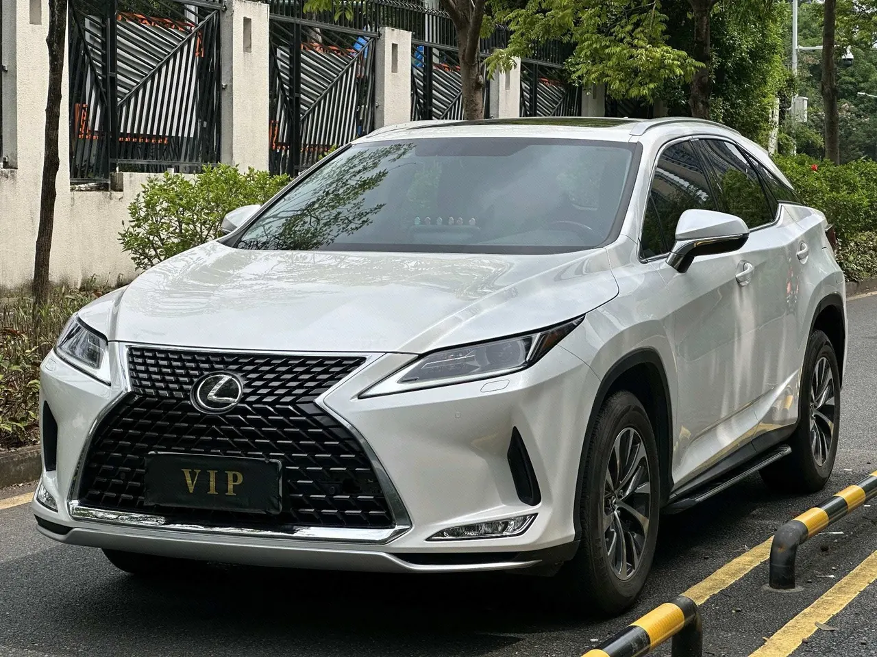 Lexus RX (Imported) 2020 RX300 2.0T Two-Drive Elite Automatic Gear - View 1