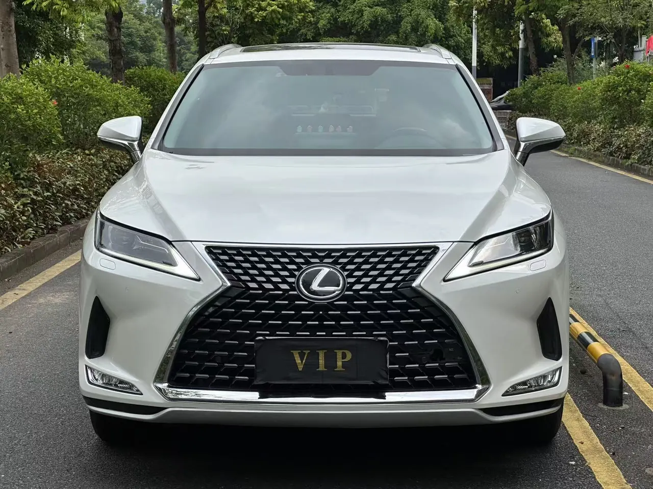 Lexus RX (Imported) 2020 RX300 2.0T Two-Drive Elite Automatic Gear 2
