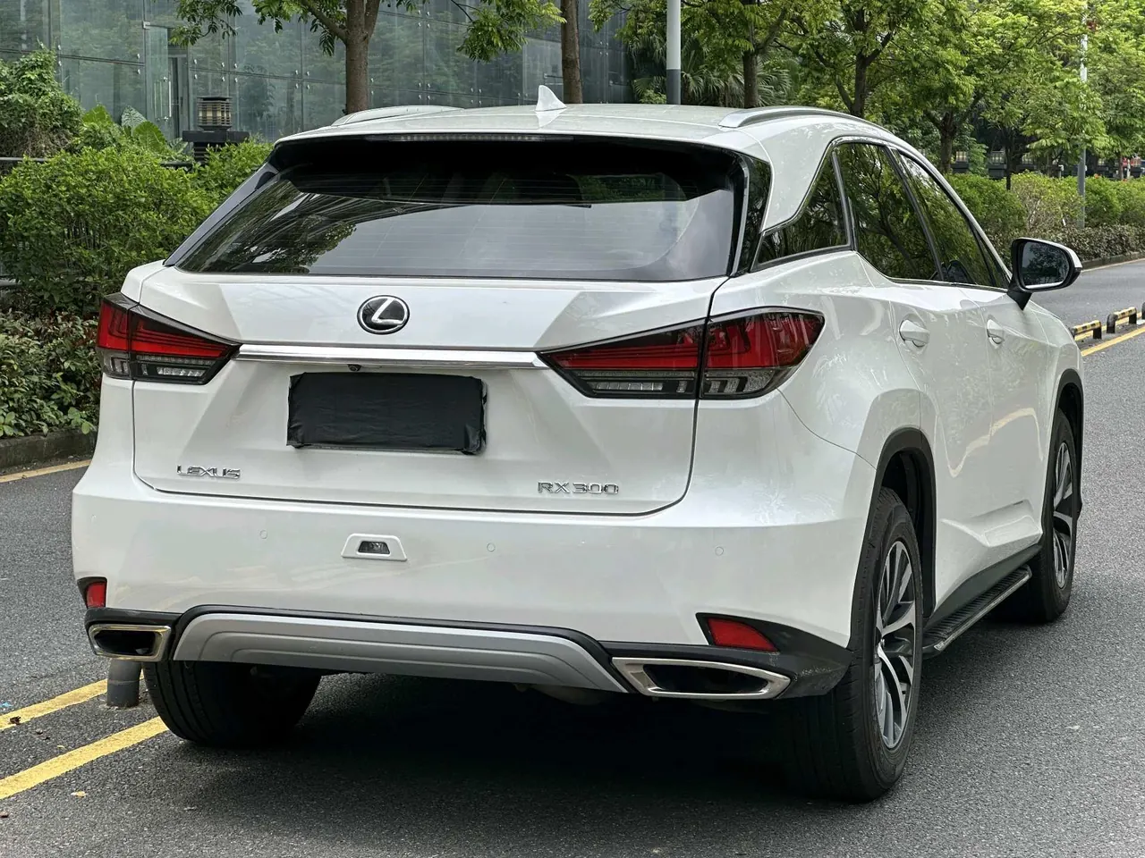 Lexus RX (Imported) 2020 RX300 2.0T Two-Drive Elite Automatic Gear 7