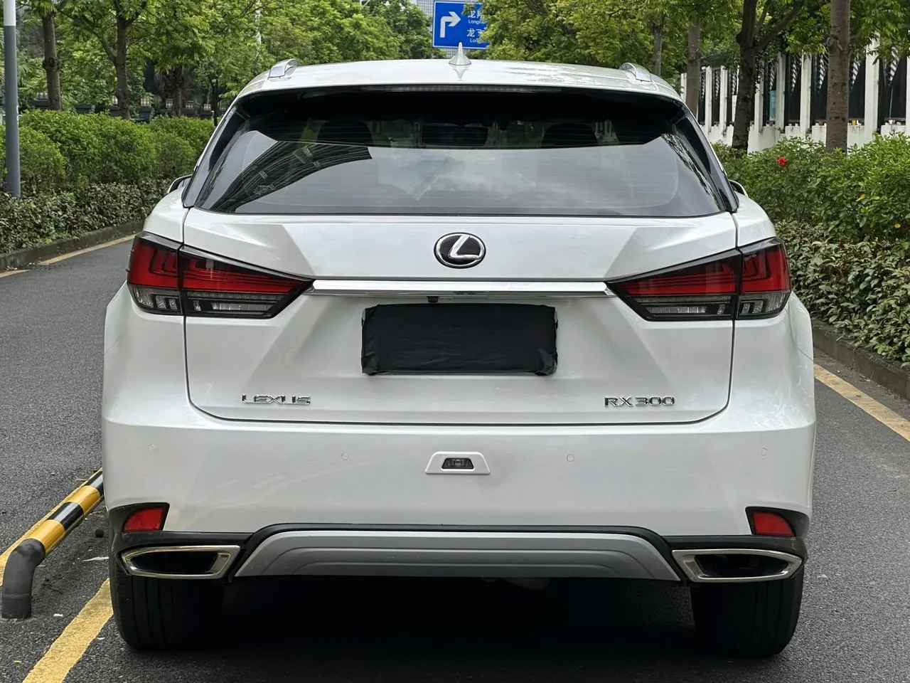 Lexus RX (Imported) 2020 RX300 2.0T Two-Drive Elite Automatic Gear 8