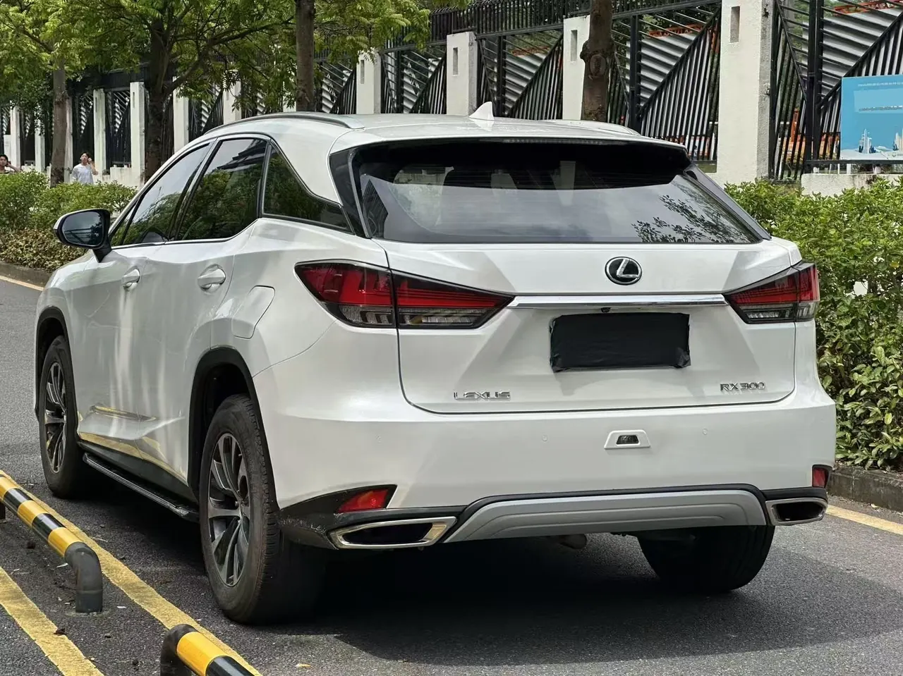 Lexus RX (Imported) 2020 RX300 2.0T Two-Drive Elite Automatic Gear 9