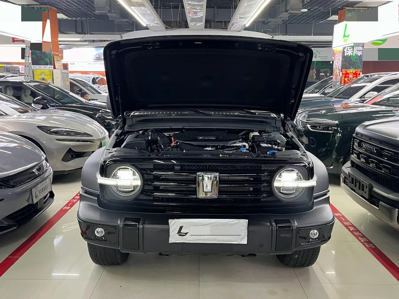 Tank 2025 Tank 300 Hi4-T 2.0T Hi4-T 36.7kWh automatic 13