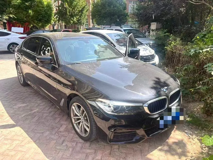 BMW 5 Series 2020 525Li 2.0T M Sports Suit Automatic Gear 2