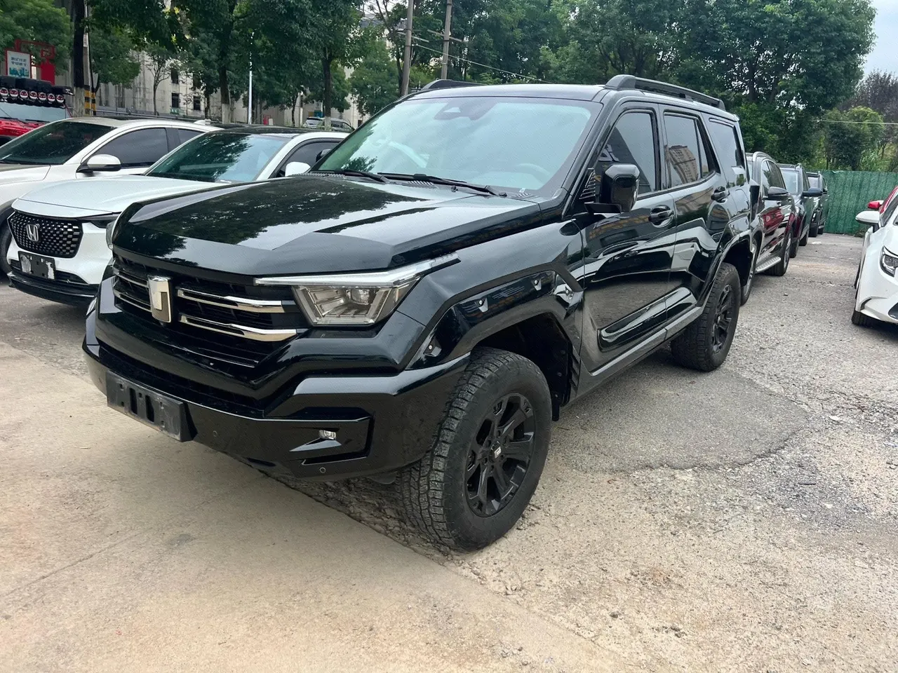 Tank 2024 Tank 400 Hi4-T 2.0T off-road version automatic gear - View 1