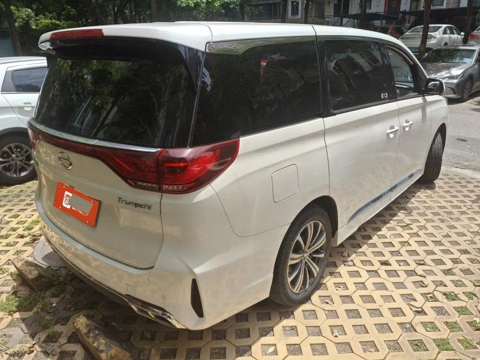 Chuanqi 2020 GM8 2.0T 390T Pilot Extreme Edition Automatic Gear 2