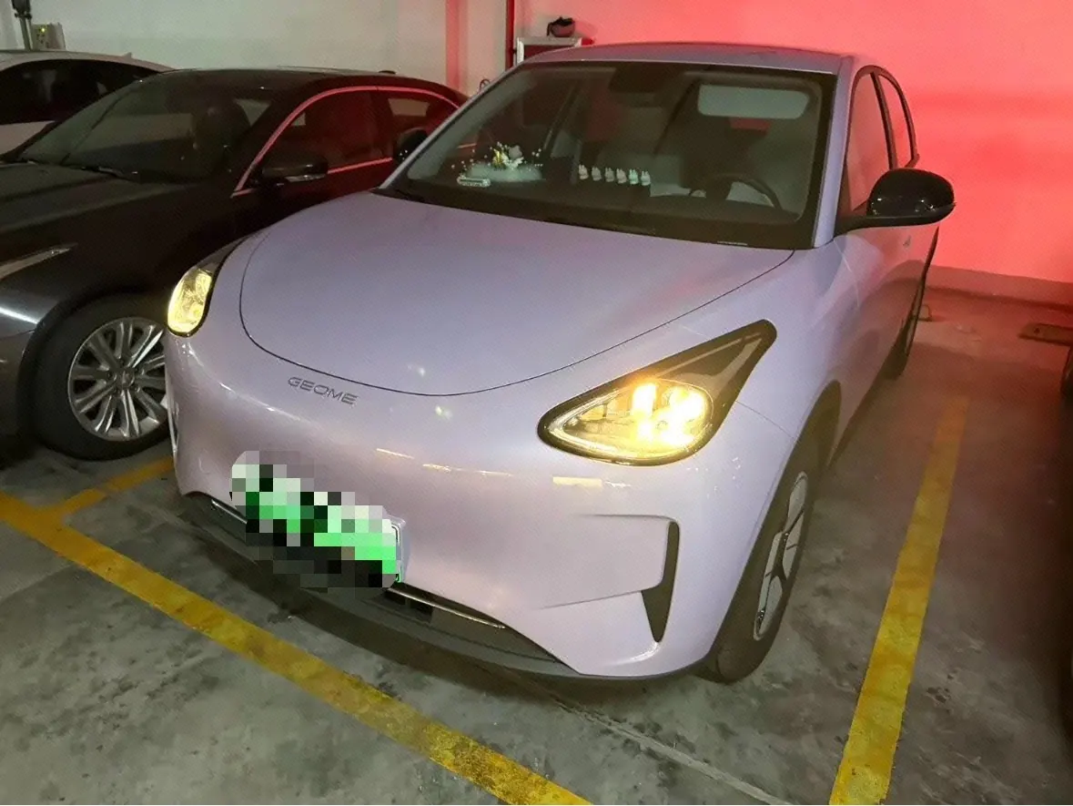 Geely 2026 Star Wish 310km Youth Edition Automatic Gear - View 1