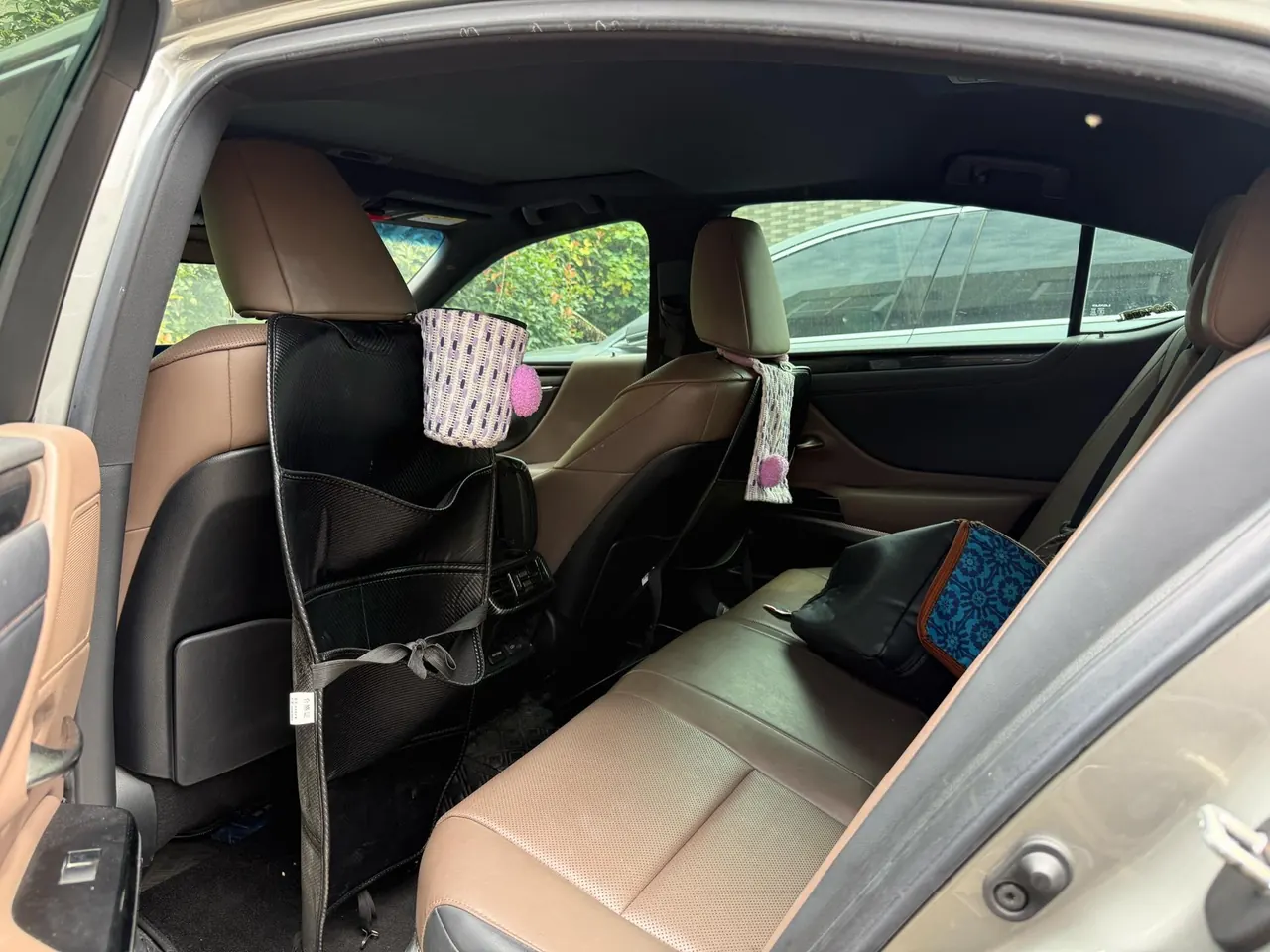 Lexus ES (Imported) 2023 ES200 2.0 Stepless Premium Edition Automatic Gear 4