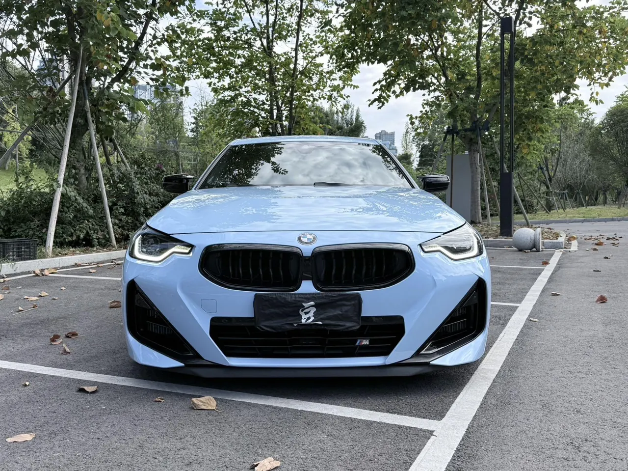 BMW 2 Series (Imported) 2024 M240i Coupe 3.0T Automatic 2
