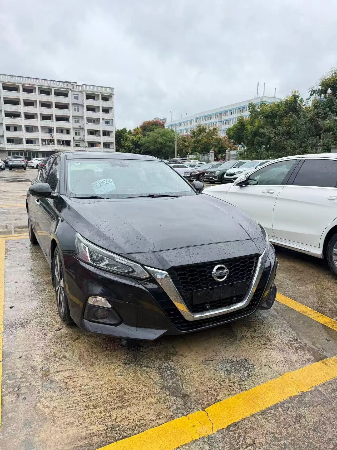 Nissan 2021 Teana 2.0 Stepless XL Comfort Edition Automatic Gear 5