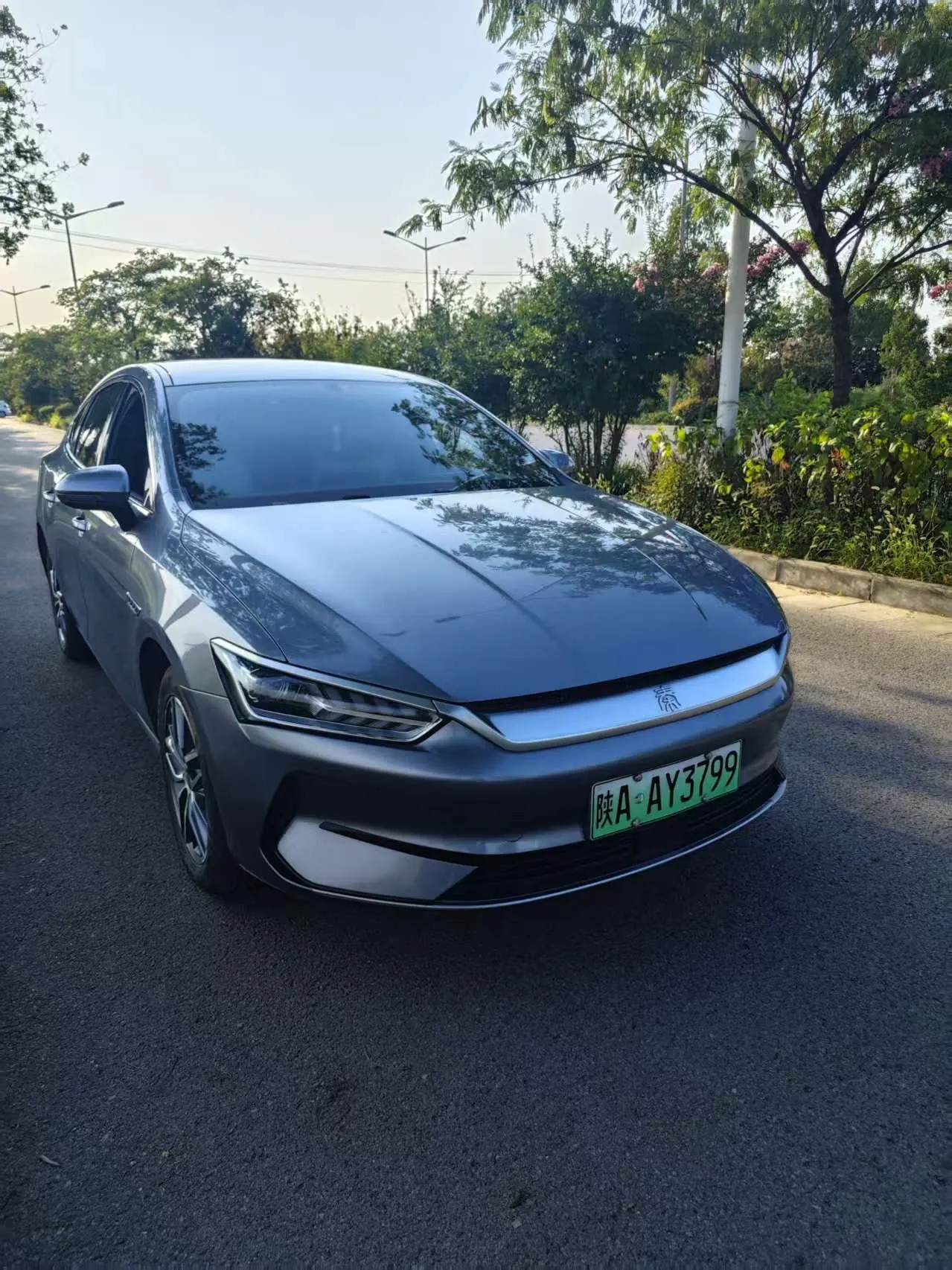 BYD 2024 Qin PLUS EV 420KM Glory Edition Exceed Automatic Gear 2