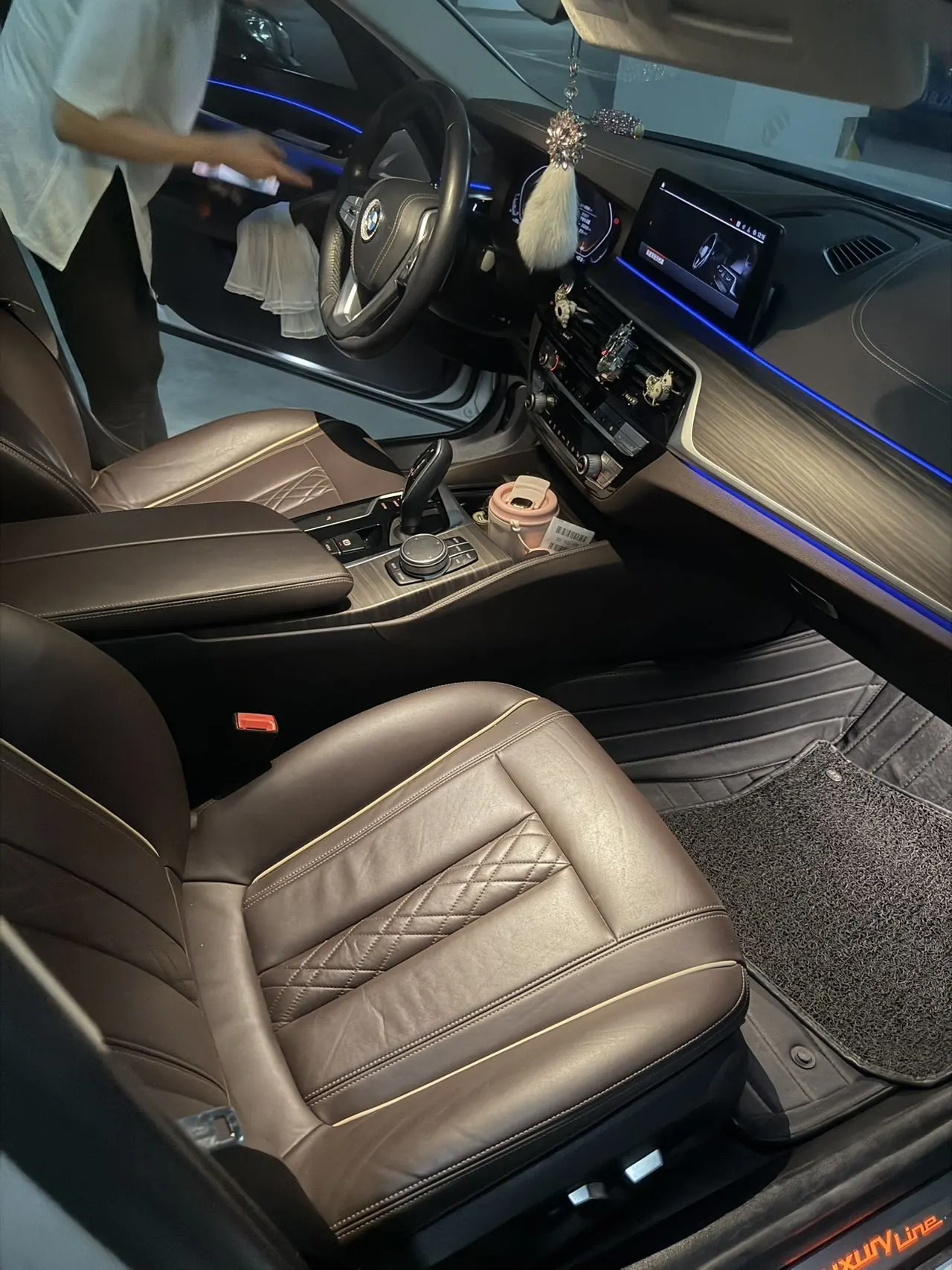 BMW 5 Series 2020 530Li 2.0T Leading Luxury Suit Automatic Gear 3