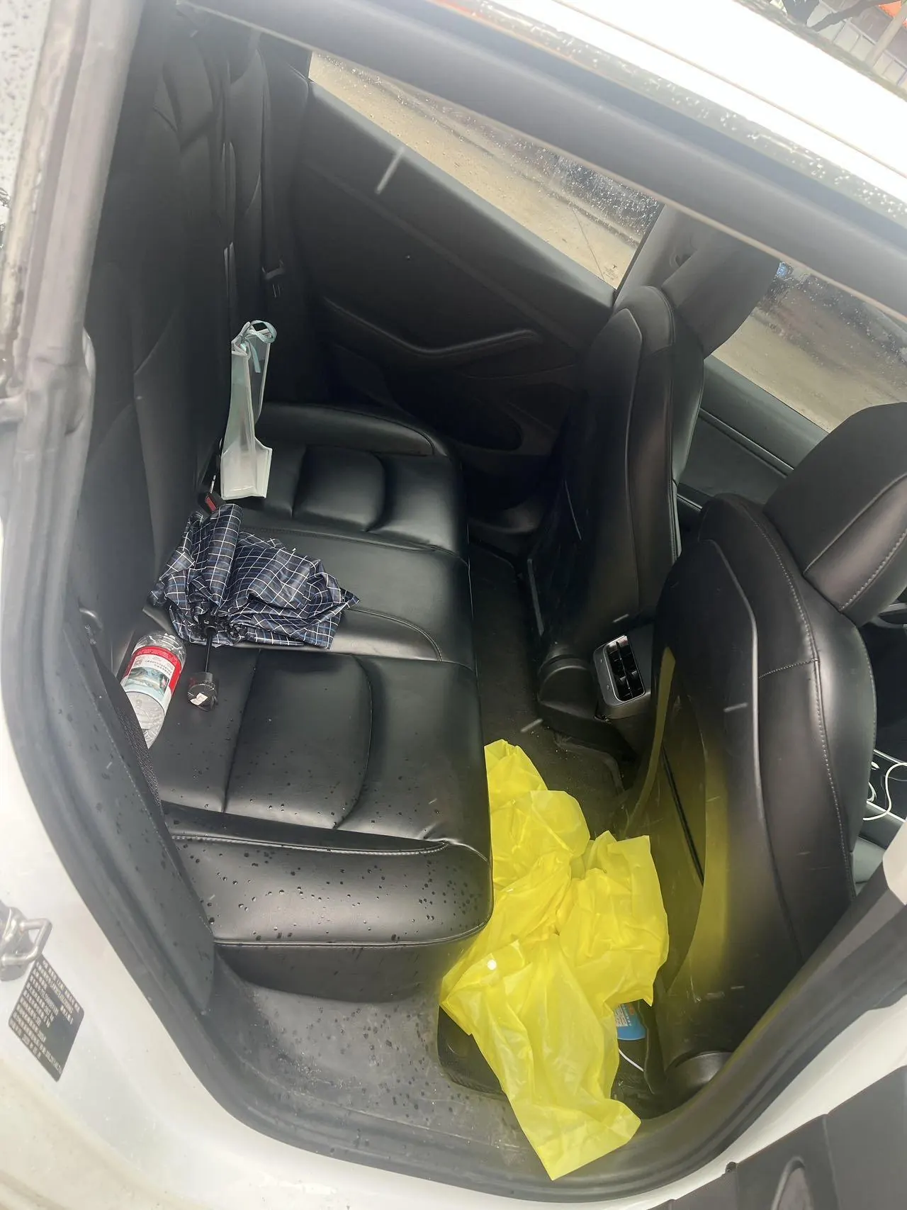 Tesla 2020 Model 3 Standard Endurance Rear Drive Upgraded Automatic Gear 6