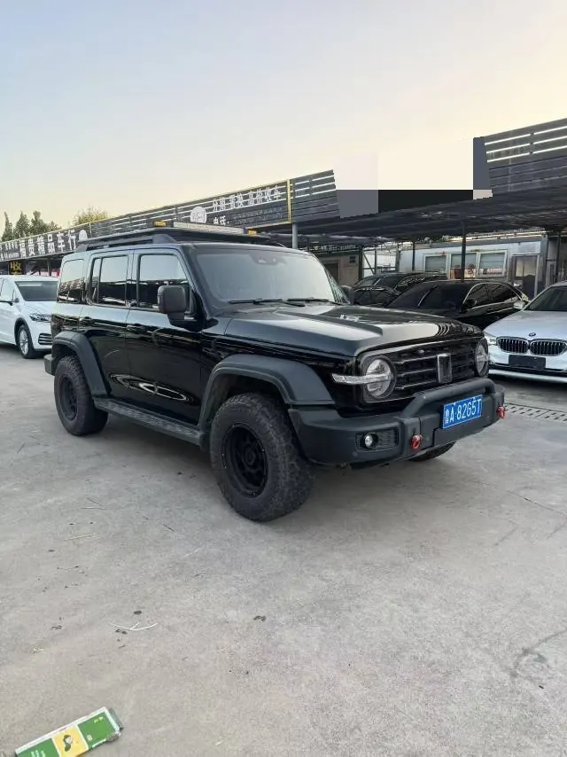 Tank 2021 Tank 300 2.0T Off-road Conqueror Automatic 3