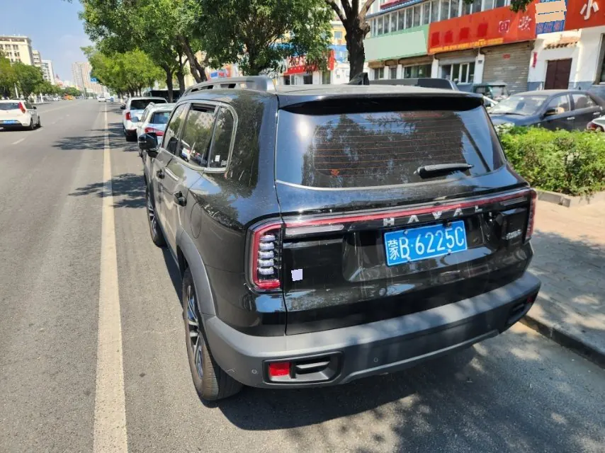 Haval 2024 big dogs 1.5T border animal husbandry version of automatic gear 4