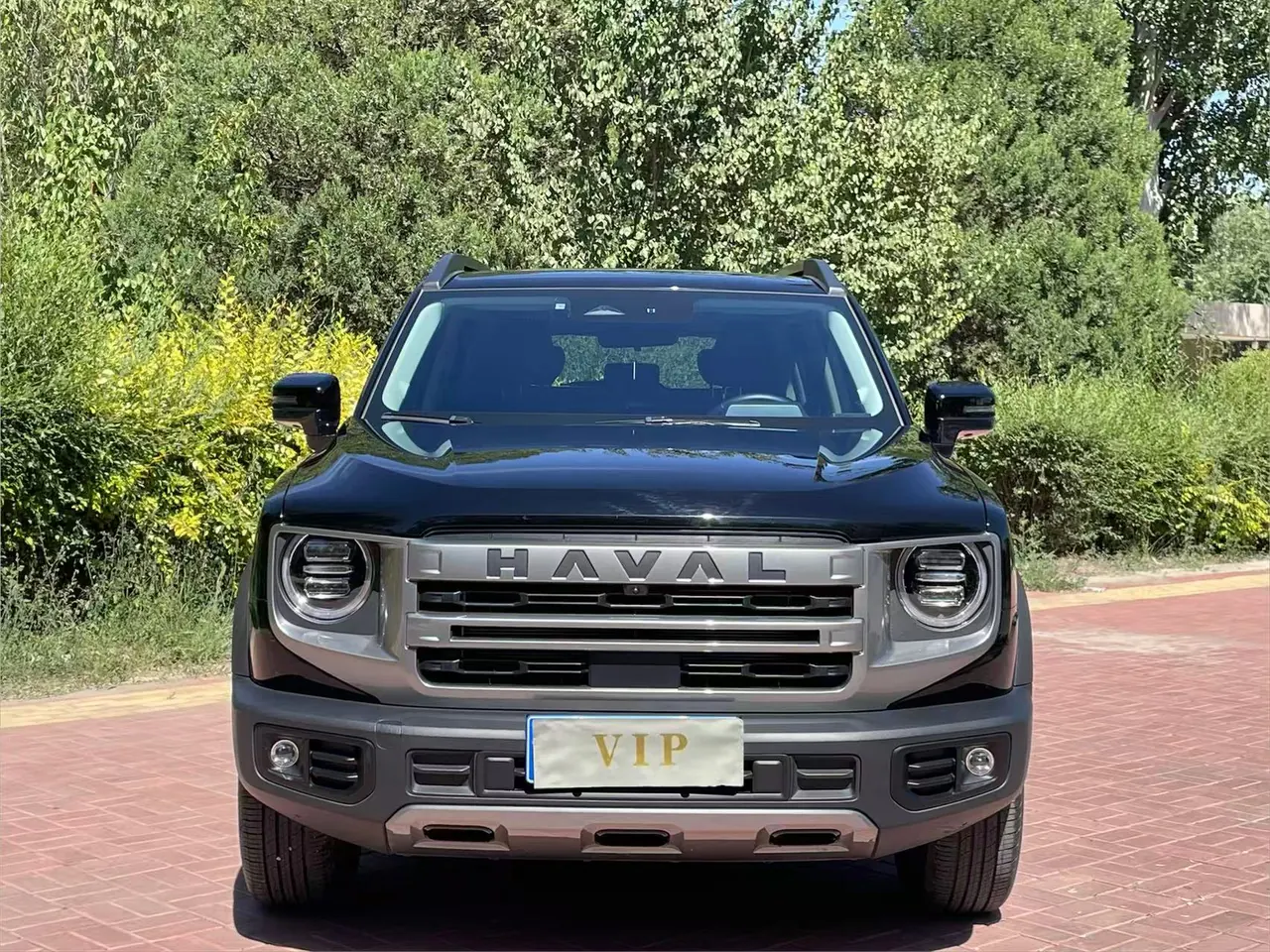 Haval 2024 big dogs 1.5T border animal husbandry version of automatic gear 2