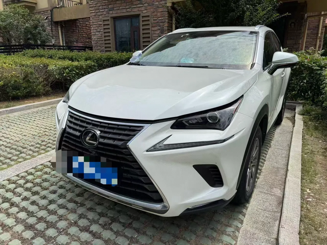 Lexus NX (Imported) 2020 NX200 2.0 Stepless Front Edition Automatic Gear - View 1