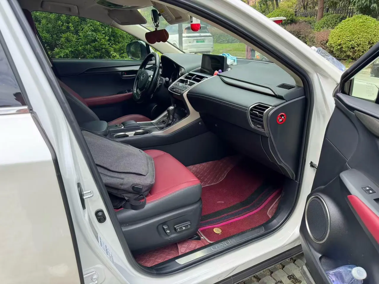 Lexus NX (Imported) 2020 NX200 2.0 Stepless Front Edition Automatic Gear 5