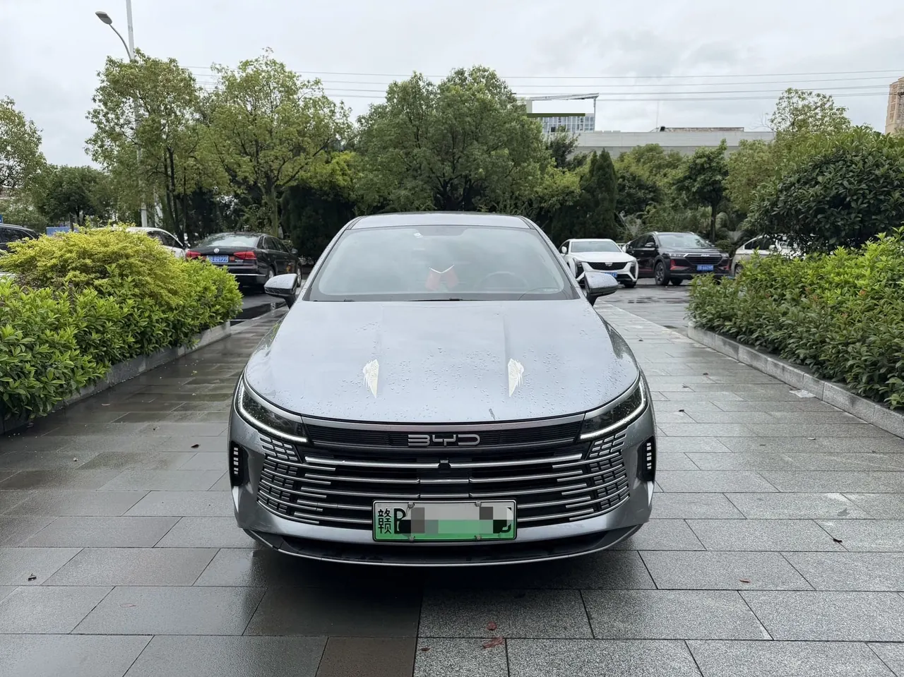 BYD 2024 destroyer 05 DM-i 1.5 stepless glory version 55KM luxury automatic gear 2