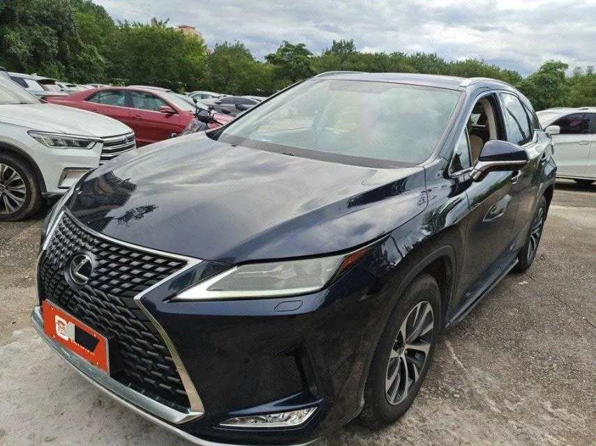 Lexus RX (Imported) 2020 RX300 2.0T Two-Drive Elite Automatic Gear - View 1