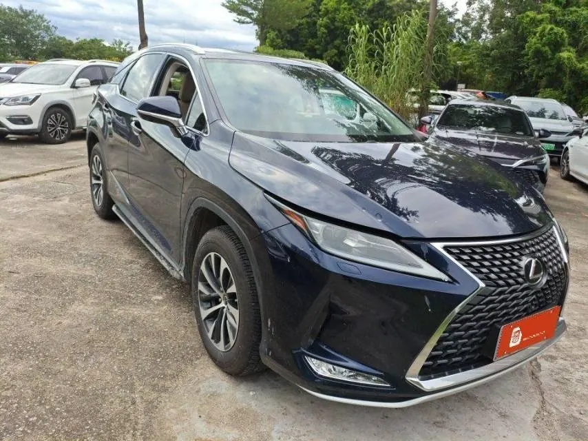 Lexus RX (Imported) 2020 RX300 2.0T Two-Drive Elite Automatic Gear 2