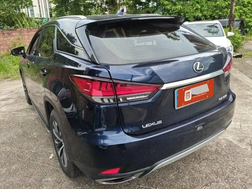Lexus RX (Imported) 2020 RX300 2.0T Two-Drive Elite Automatic Gear 3