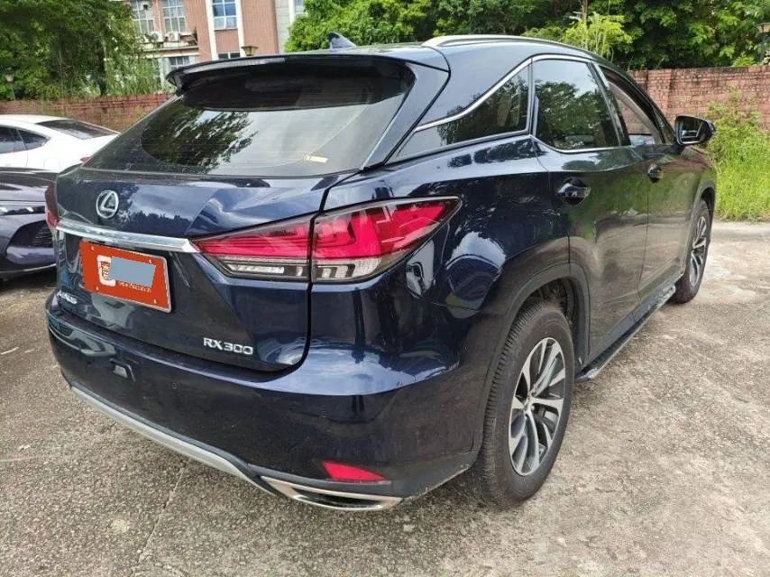 Lexus RX (Imported) 2020 RX300 2.0T Two-Drive Elite Automatic Gear 4