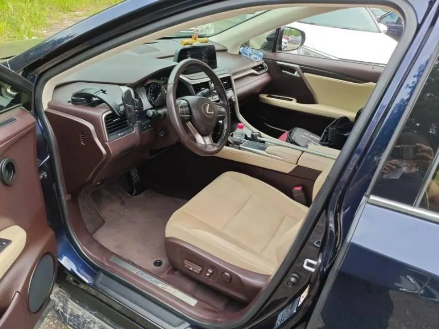 Lexus RX (Imported) 2020 RX300 2.0T Two-Drive Elite Automatic Gear 5