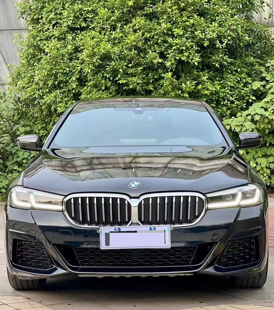 BMW 5 Series 2022 530Li 2.0T Leading Luxury Suit (Change 2) Automatic Gear 2