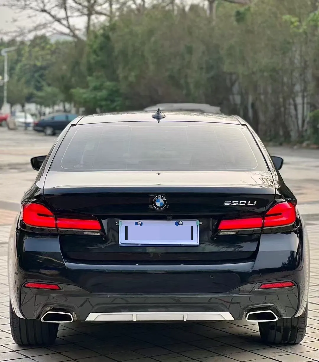 BMW 5 Series 2022 530Li 2.0T Leading Luxury Suit (Change 2) Automatic Gear 7