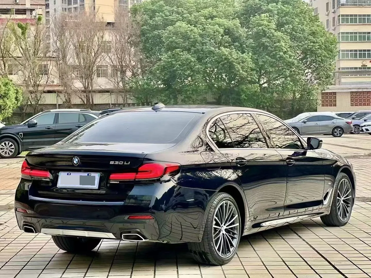 BMW 5 Series 2022 530Li 2.0T Leading Luxury Suit (Change 2) Automatic Gear 9