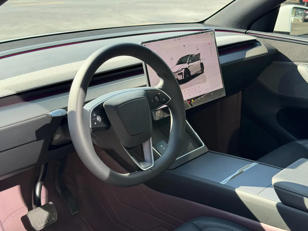 Tesla 2026 Model Y Rear-Wheel-Drive Automatic 10
