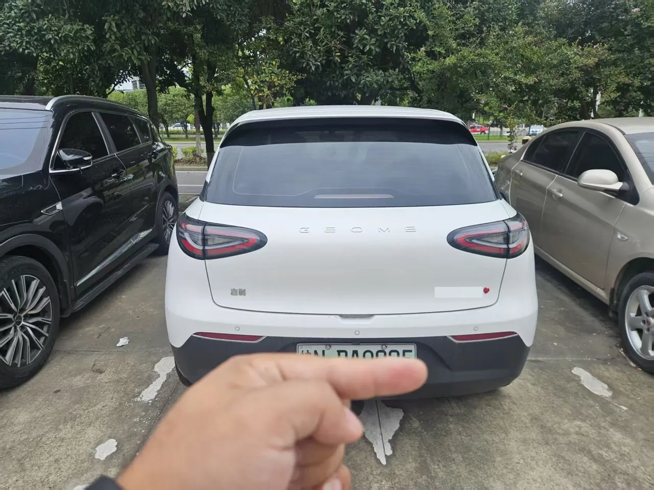 Geely 2025 Star Wish 310km Youth Edition Automatic Gear 5