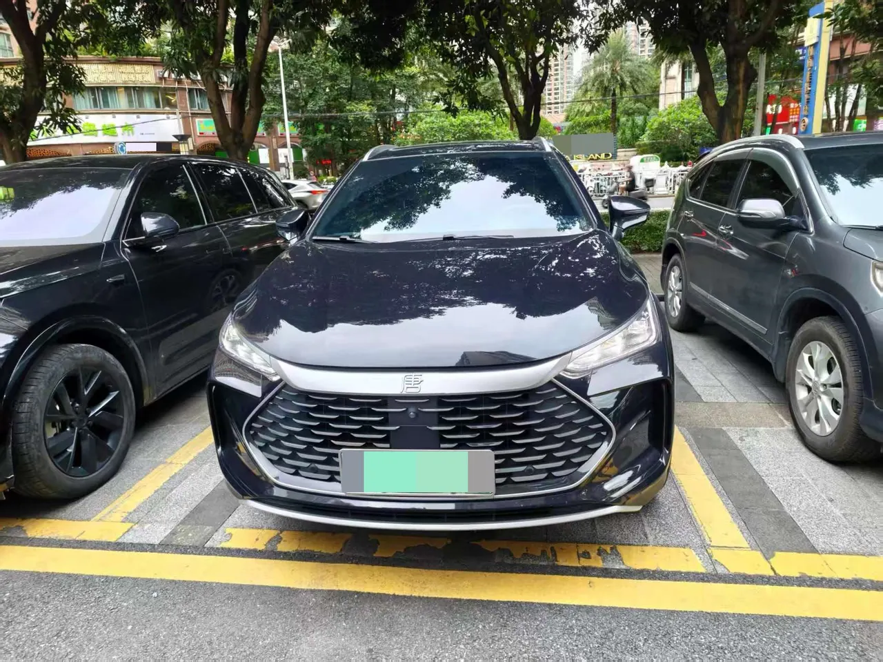 BYD Tang New Energy 2025 Tang DM-i 1.5T Stepless 115KM Honorable Automatic Gear 2