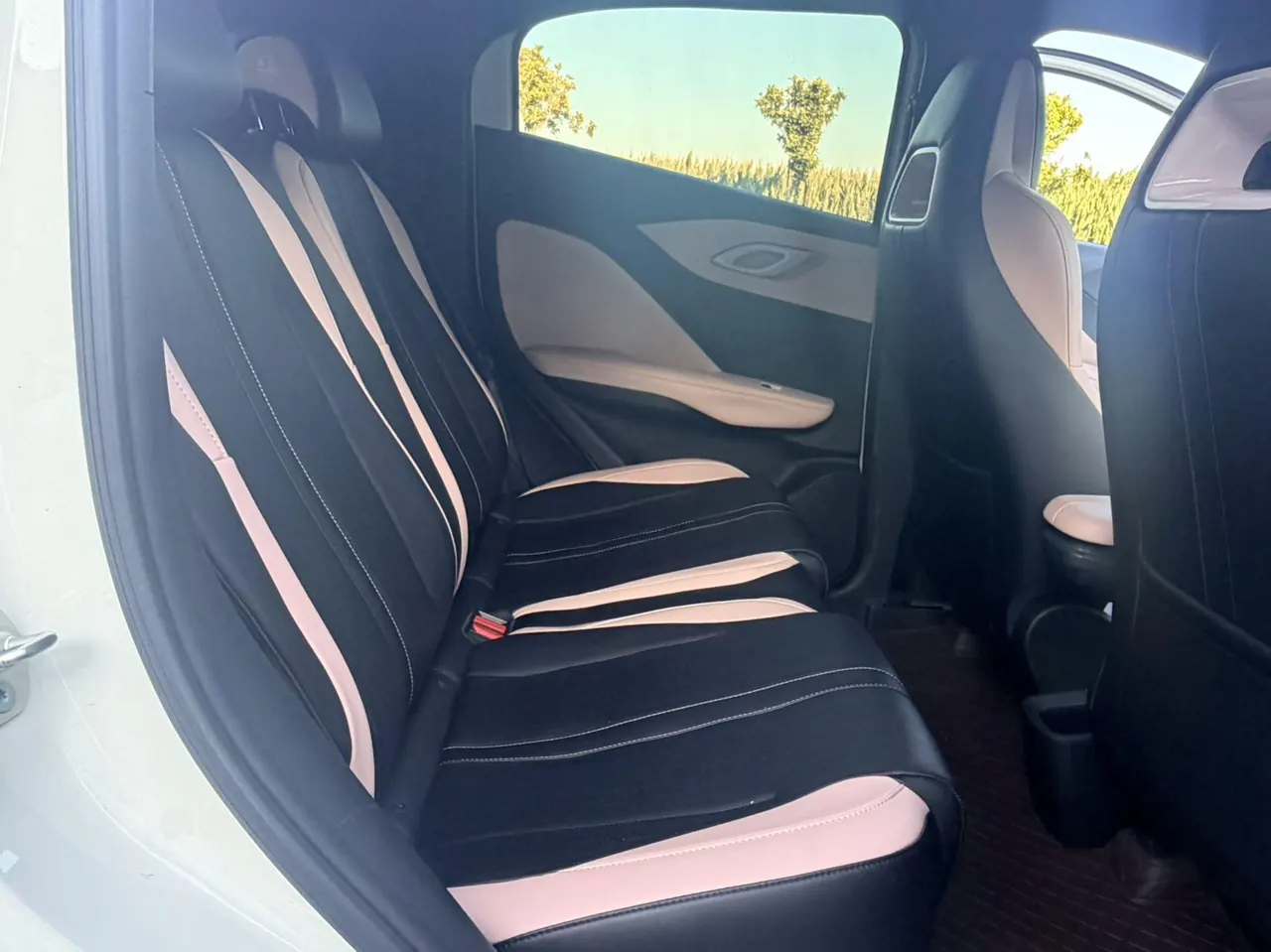 BYD 2025 seagulls 305km free version automatic gear 4