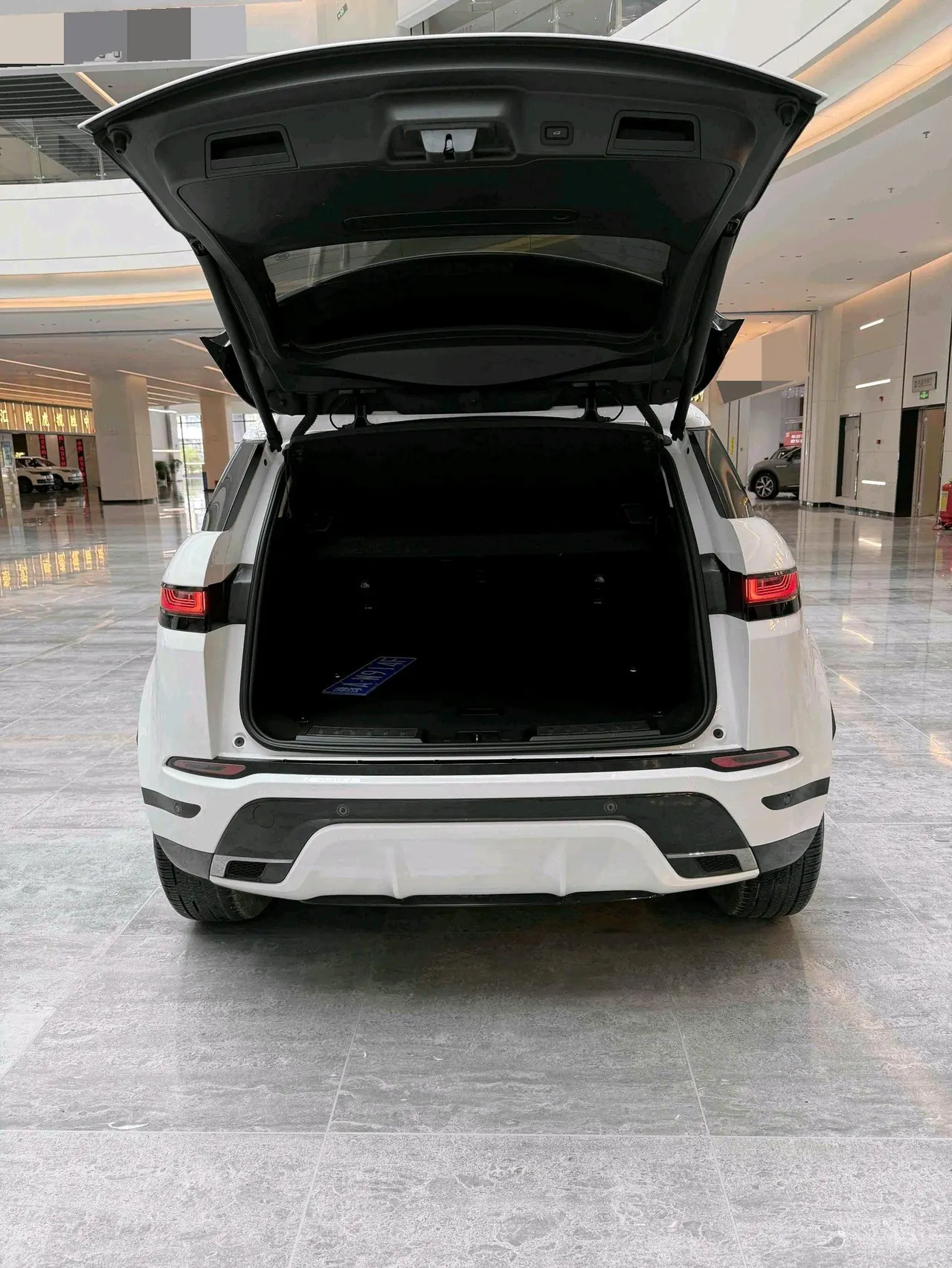 Land Rover 2021 Range Rover Aurora L 48V 2.0T 200PS R-Dynamic Standard Elite Automatic Gear 4