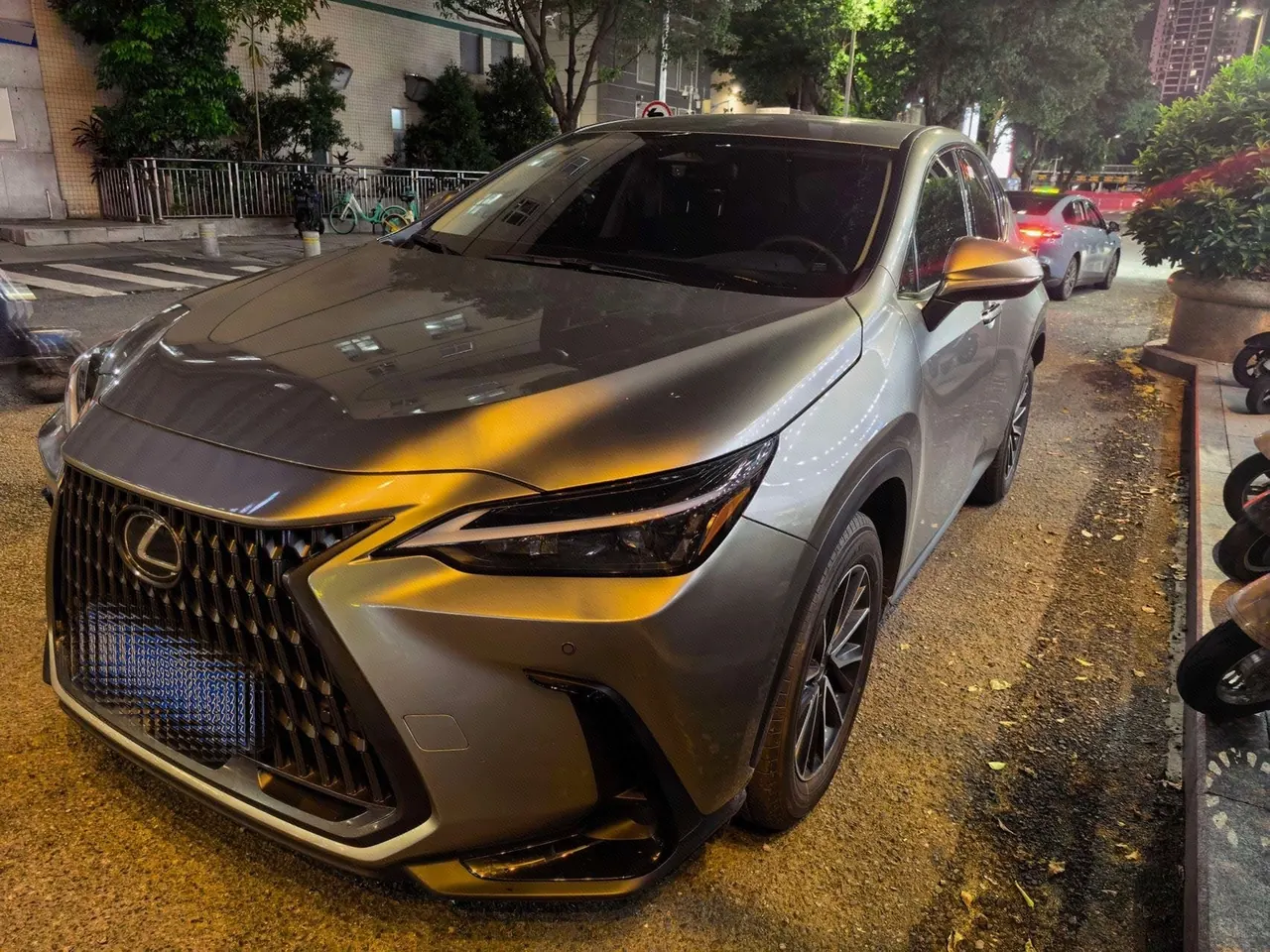 Lexus NX (Imported) 2024 NX260 2.5 Chuangchi Edition Automatic Gear - View 1