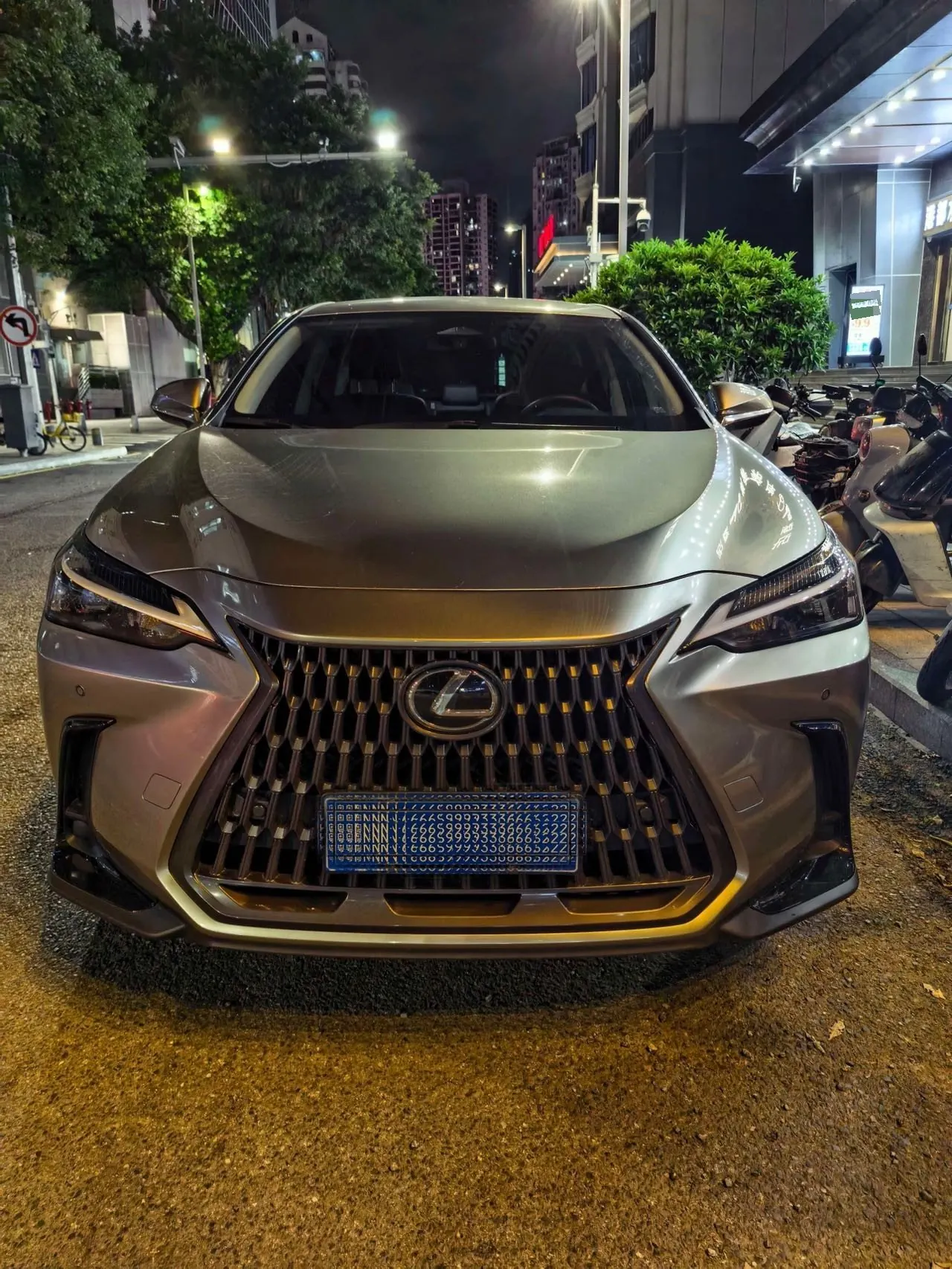 Lexus NX (Imported) 2024 NX260 2.5 Chuangchi Edition Automatic Gear 2