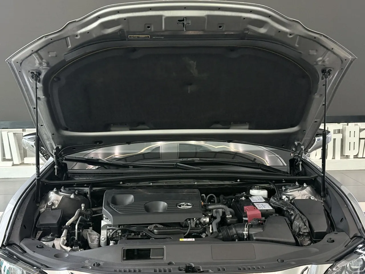 Lexus ES (Imported) 2023 ES200 2.0 Stepless Deluxe Edition Automatic Gear 14