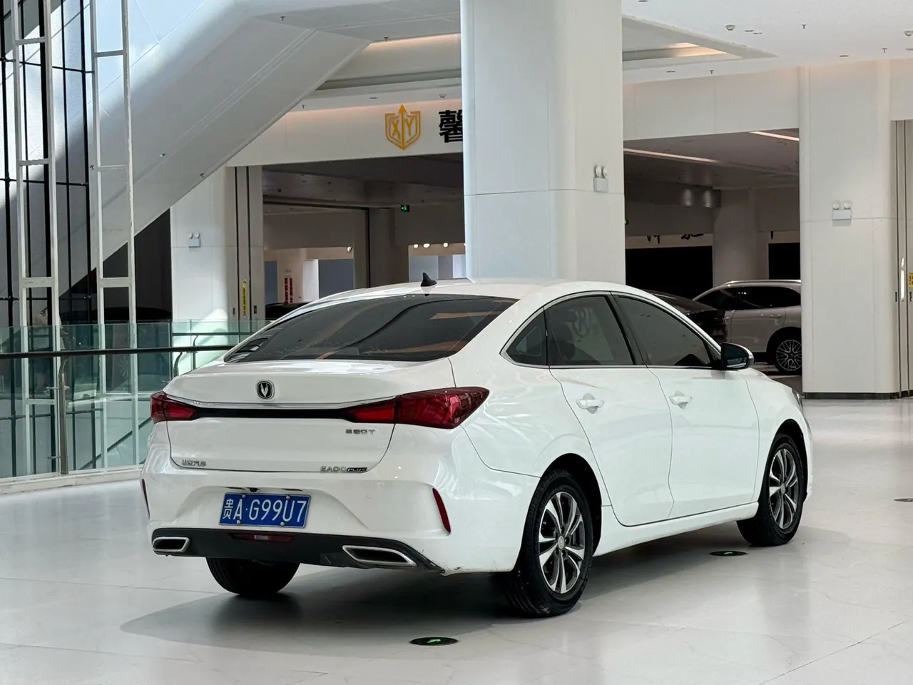 Chery 2023 Erez 8 2.0T High Energy Edition Royal Automatic 3